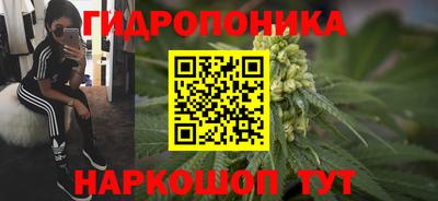 твердый Ярославль