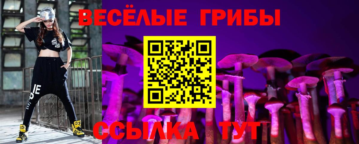 Псилоцибиновые грибы прущие грибы  Псилоцибиновые грибы ЛСД  Ачинск  Вход с VPN 